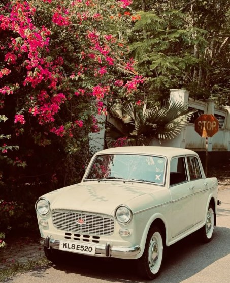1950s Nostalgia