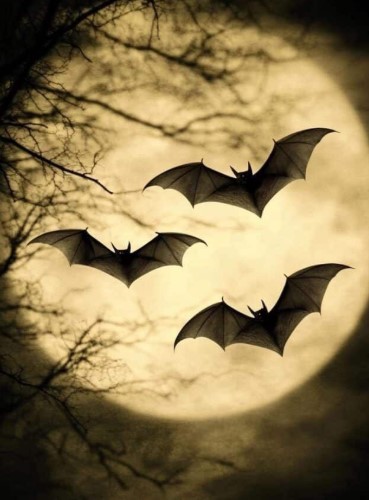 Bats, Boos, and That Eerie Glow