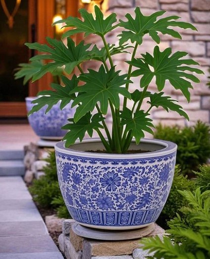 Blue and White Porcelain Planters