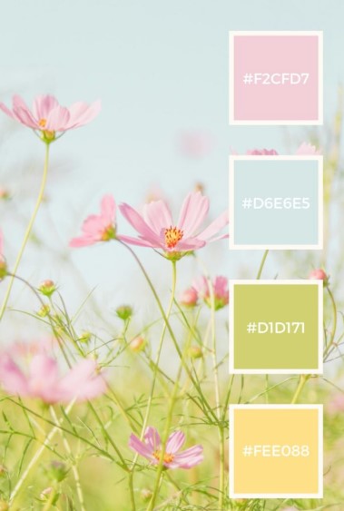 Cheerful Spring Color Scheme