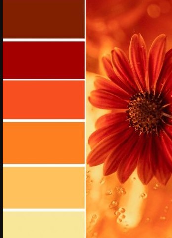 Classic Orange and Red Autumnal Warmth