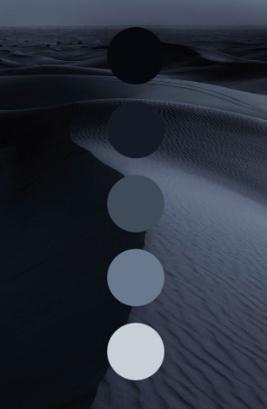 Color Palette Focus