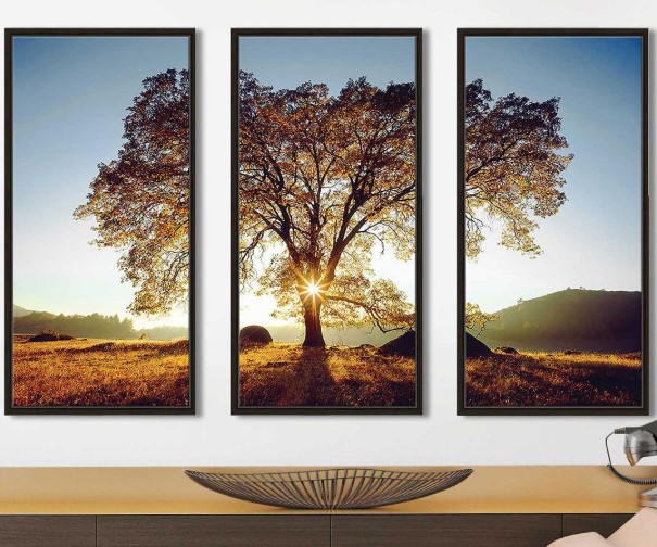 Create Visual Interest with a Triptych Display