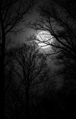 Dark Elegance