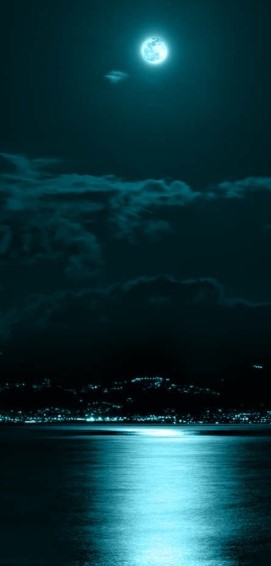 Dark Teal