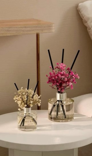 Decorative Diffusers with Essential Oils