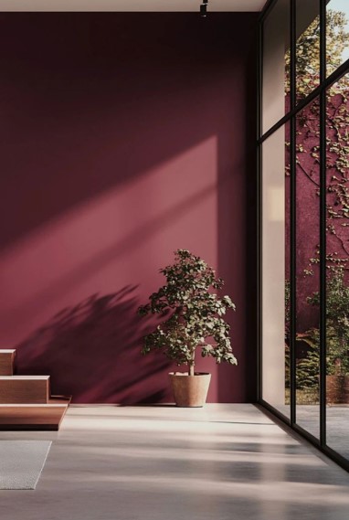 Deep Burgundy Walls