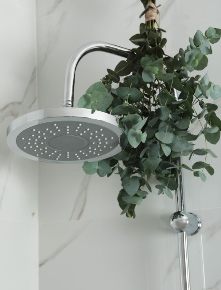 Eucalyptus Shower Bundles