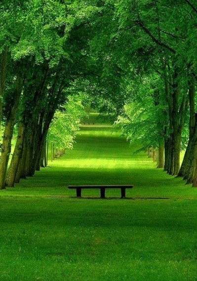 Garden Path