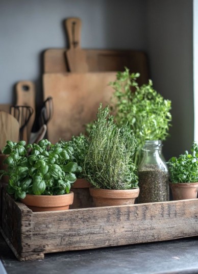 Herb Bundles for Kitchen Decor