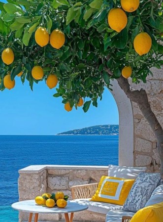 Mediterranean Vibes