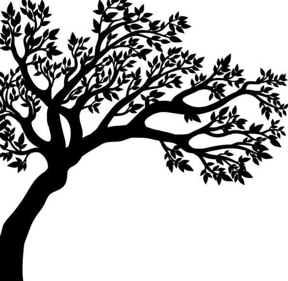 Out of the Woods Tree