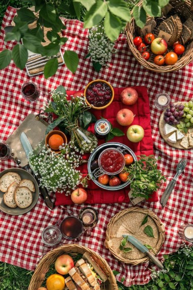 Picnic Style Red Gingham