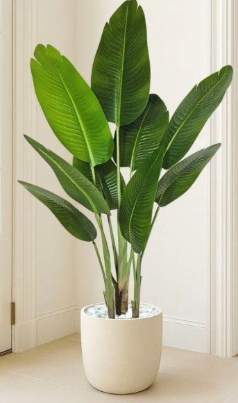 Potted Plant