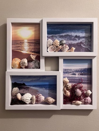 Seashell Displays That Tell Your Story