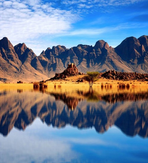 Sleek Reflections