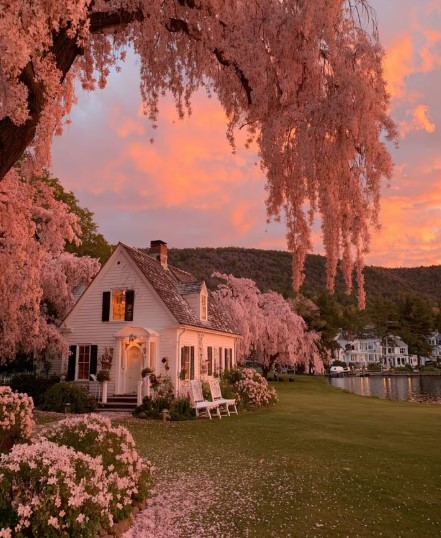 Soft Haven