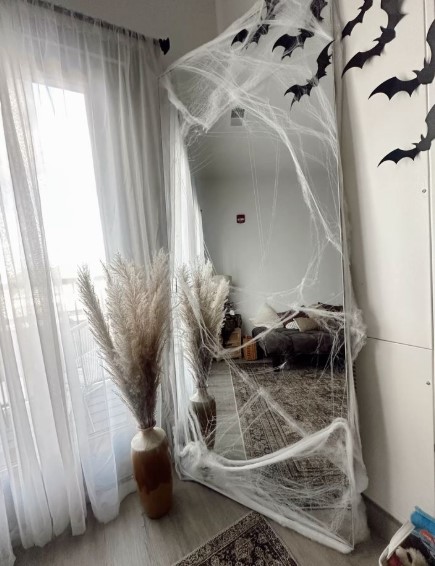 Spiderweb and Bat Mirror Moment