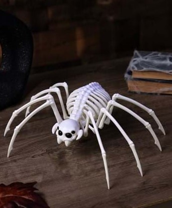 Spooky Spider Skeletons