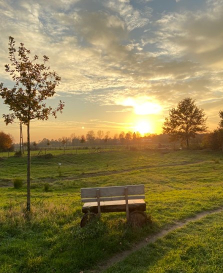 Squeeze in a Small Bench