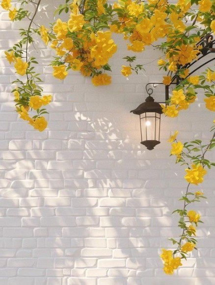 Sunny Yellow and White
