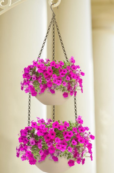 Trio of Hanging Flower Pots