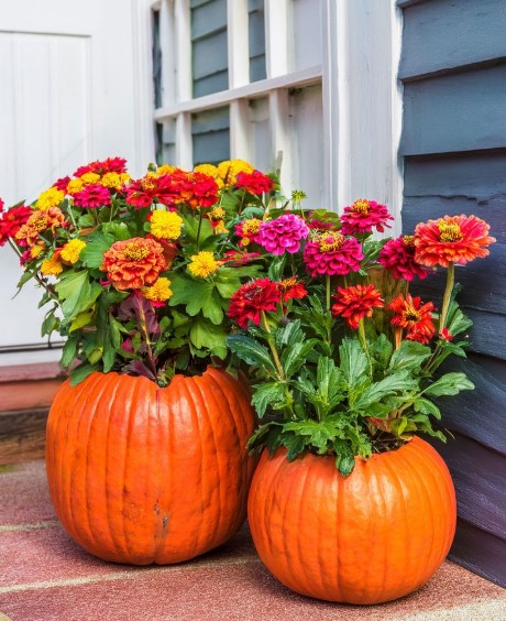 Vibrant Pumpkin and Mum Medley