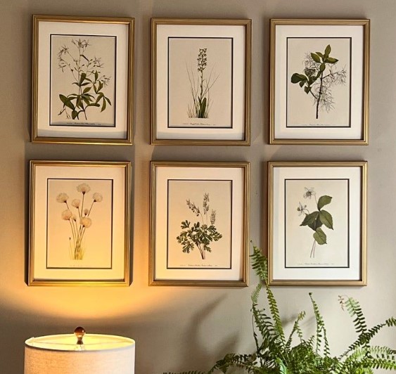 Vintage Botanical Prints in Gold Frames
