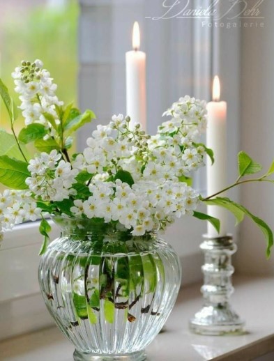  White Flowers on the Sill