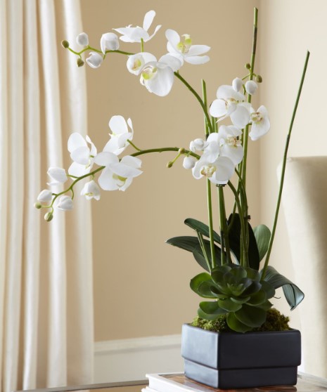 White Orchid Centerpiece in a Black Planter
