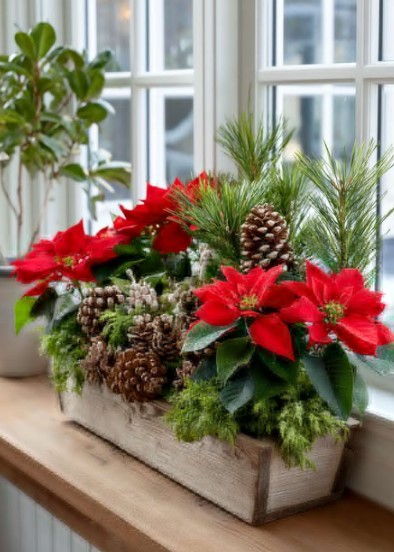 Window Sill Planters With Christmas Plants